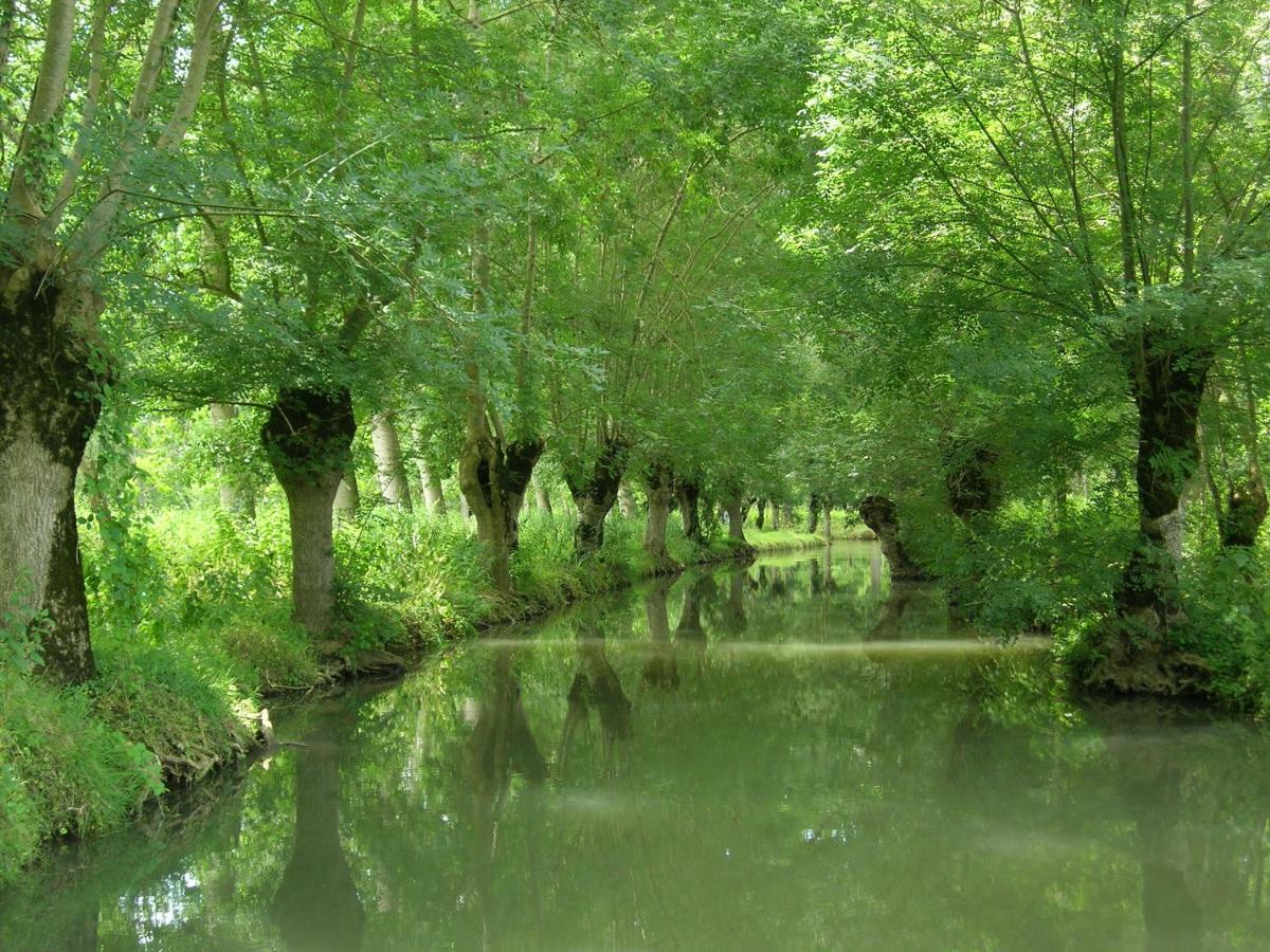 La Gauviniere Bed & Breakfast Liez Bagian luar foto